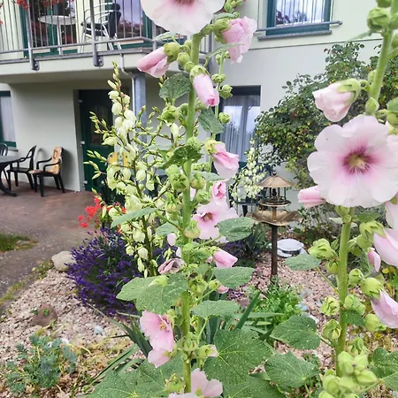 公寓 Waldhaus Rath *