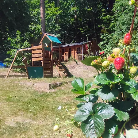 Waldhaus Rath 公寓 *